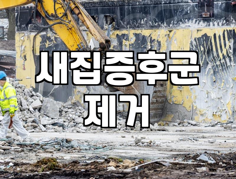 입주청소학원, 제대로 알아야 후회 없다