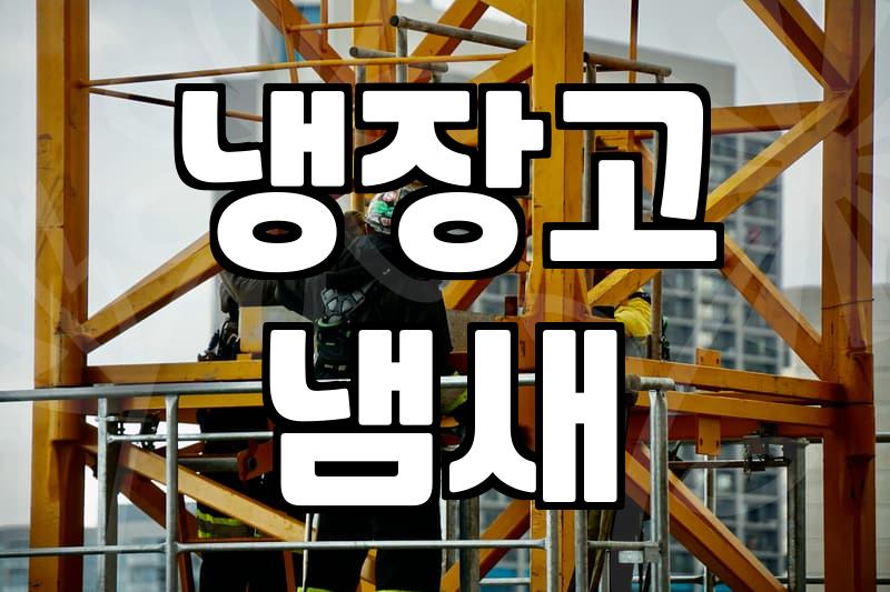 삼성 냉장고 청소, 직접 하는 것과 맡기는 것의 차이