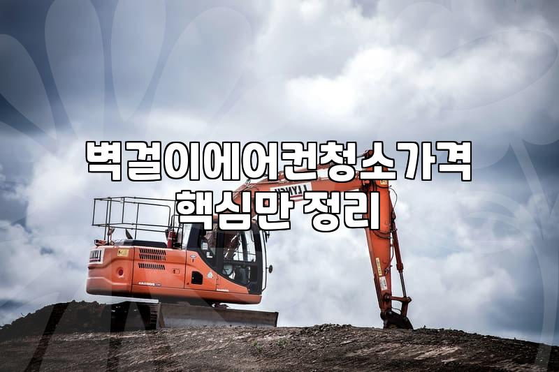 벽걸이 에어컨 청소, 비용과 셀프 사이에서 타협점 찾기