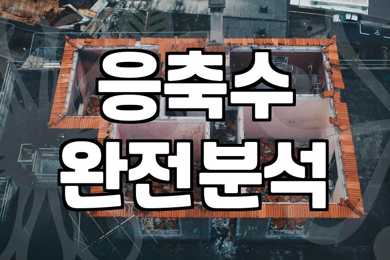 목조주택누수 방지하려면 에어컨 배수와 외벽 마감부터 점검해야 하는 이유