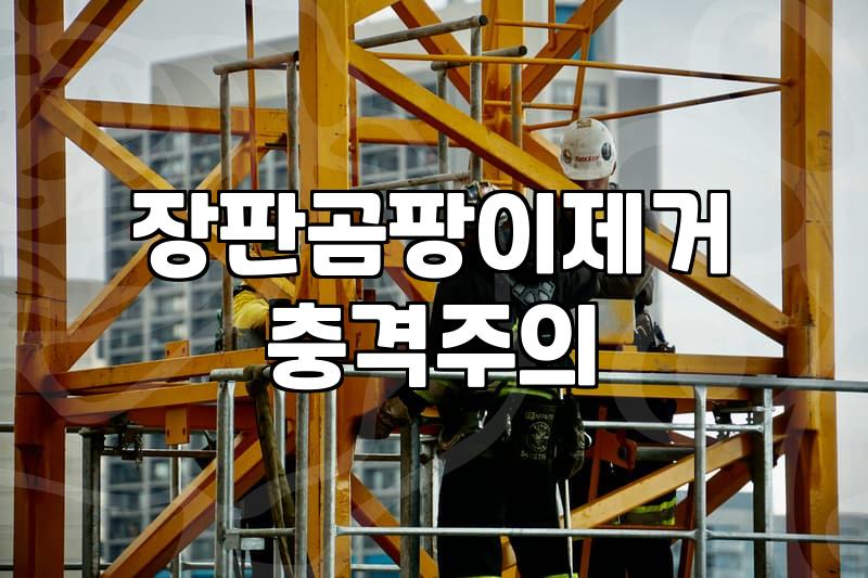 여름이 오기 전 장판 밑을 들췄다가 마주한 것들